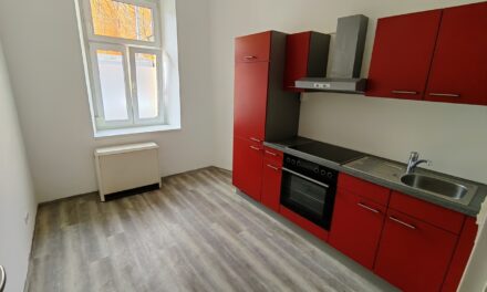 Anleger – oder Startwohnung!