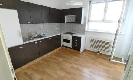 Zuckerl! Süße Kleinwohnung in Andritz! Top Lage!