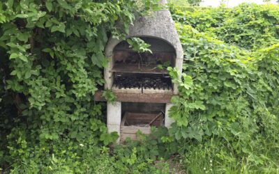 Tierfreundliche Familienwohnung mit Garten!