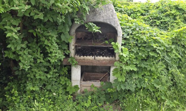 Tierfreundliche Familienwohnung mit Garten!